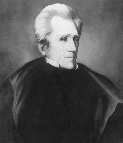 In Defense of Andrew Jackson – The Bull Elephant