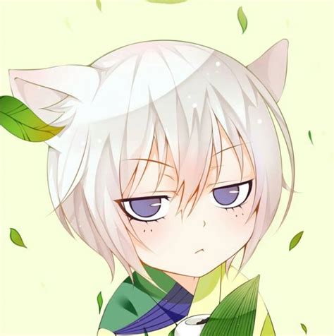巴卫sama()图片