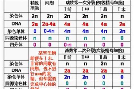 和dna的数量怎么算-百度经验