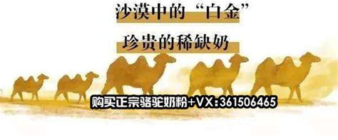 骆驼品牌介绍 骆驼发展历程 - 品牌之家