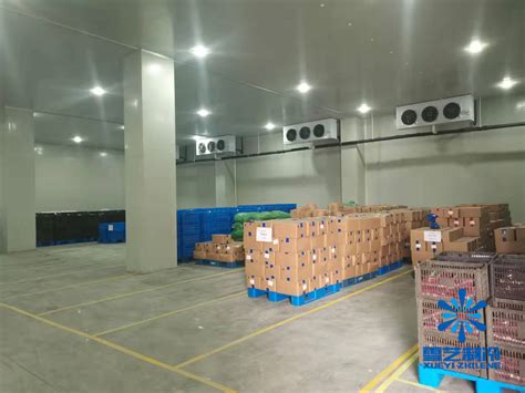 100吨冻肉冷库建造正常造价多少钱_上海雪艺制冷科技发展有限公司