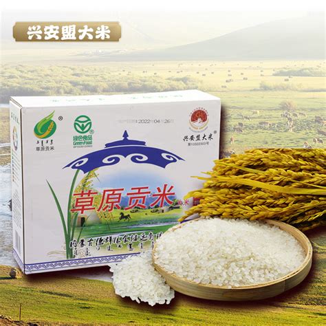 【黄河两岸是我家】走进叶盛：看宁夏优质大米是如何生产出来的-宁夏新闻网