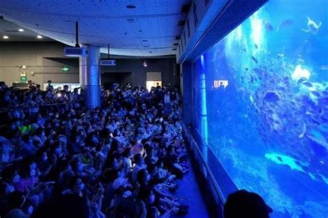 青岛海底世界门票多少钱（青岛适合带孩子去的地方）|迈走旅游网