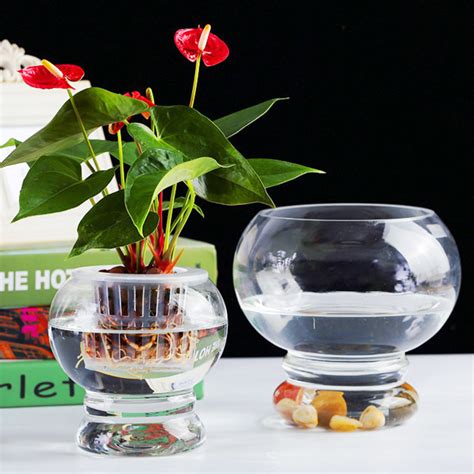 水培玻璃植物圆球花盆室内桌面摆件花卉水养器皿灯笼办公绿萝花瓶-阿里巴巴