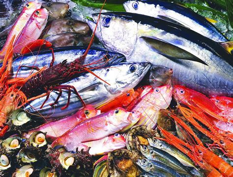 东辛打造高质高效现代渔业产业园区