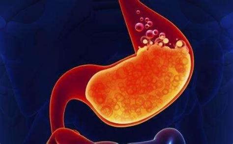 消化系统的人类胃和医疗保健象征物是消化器的腹部官消化食物或饮和胃外科的象征物作为白色背景的医学插图高清图片下载-正版图片301640824-摄图网