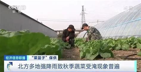 蔬菜配送有何意义，要注意什么？-上海中膳食品科技有限公司