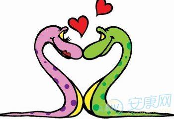 蛇和虎相配婚姻如何破解_生肖_若朴堂文化