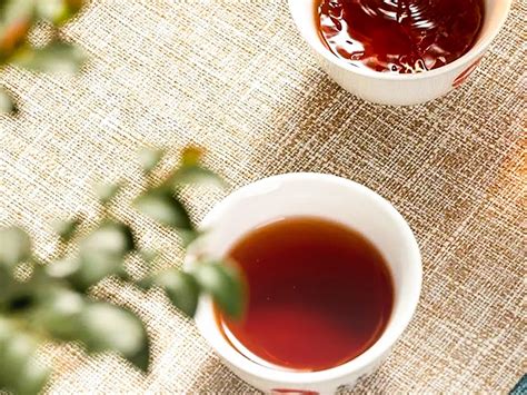 云贡普洱茶 | 酒水设计欣赏|赞伯营销管理咨询策划机构