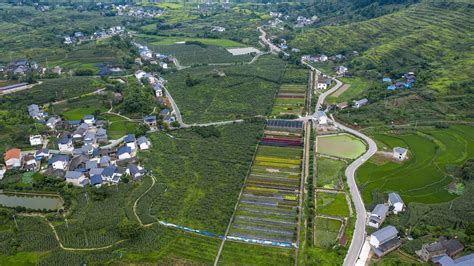 祝贺：重庆市北碚区农产品区域公用品牌创建项目成功启动 - 上游新闻·汇聚向上的力量