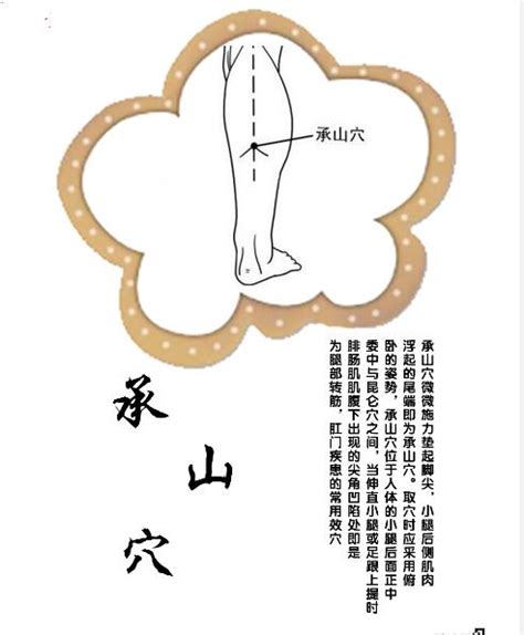 承山的准确位置图图片
