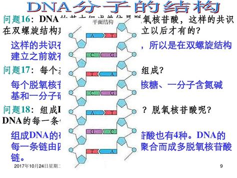 DNA图片-DNA双螺旋分子素材-高清图片-摄影照片-寻图免费打包下载