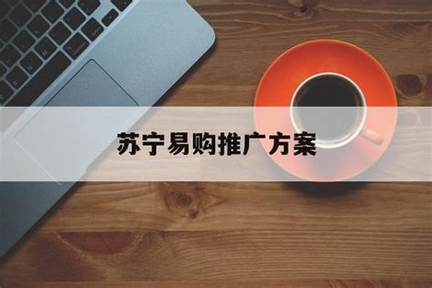 市场营销模式 ——苏宁易购_word文档在线阅读与下载_免费文档