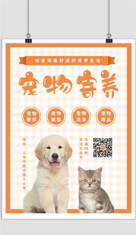 宠物寄养萌宠狗桔色简约广告宣传营销海报海报模板下载-千库网