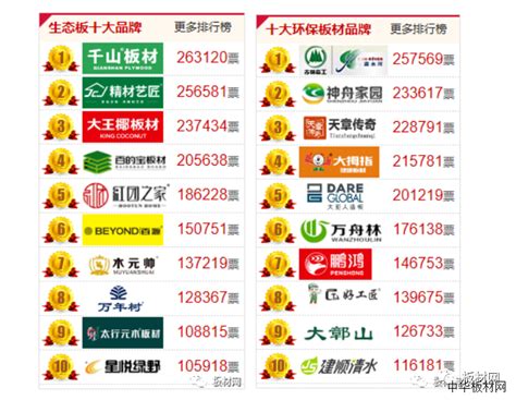 十大板材品牌壮象成为首批获得广西优质认证的企业-中国木业网
