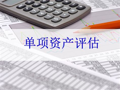 单项资产评估 - 四川兴蓉汇资产评估有限公司