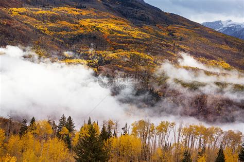 美国科罗拉多州五颜六色的黄色秋天秋天的季节高清图片下载-正版图片300154105-摄图网