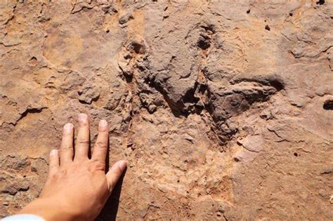 “侏罗纪猜想”被证实 世界首例群体性驰龙类恐龙足迹被发现|界面新闻 · 中国