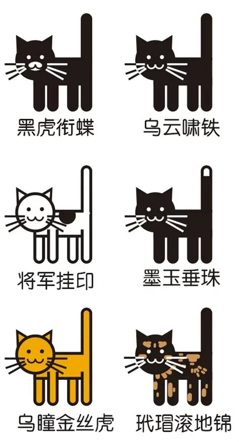 中国撸猫简史__凤凰网