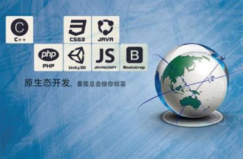 哈尔滨软件开发_手机APP制作_小程序网站开发公司-锐飞网络
