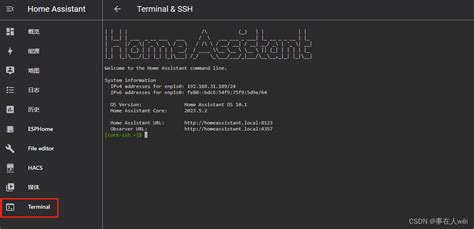 home assistant使用指令手动安装hacs_hacswget -q -o --CSDN博客