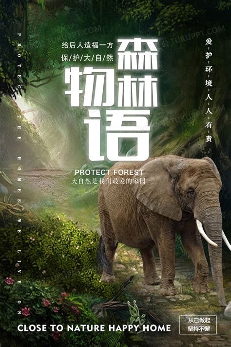 绿色森林物语海报设计图片下载_psd格式素材_熊猫办公