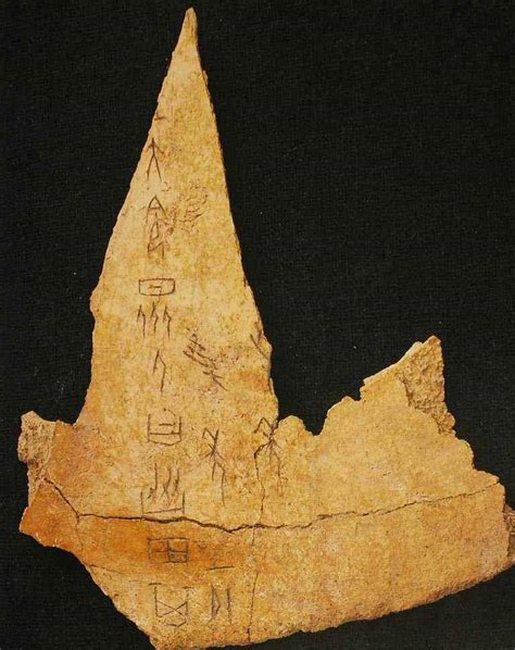 中国发现距今8000多年的古老文字，考古专家：中华文明再添三千年_贾湖_甲骨文_西方