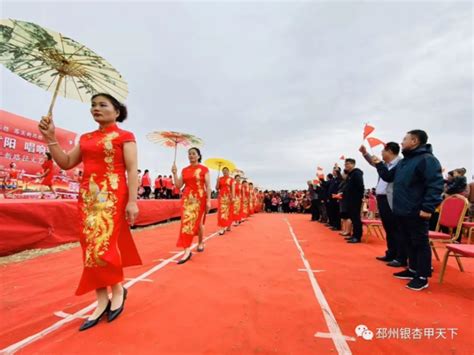 寻仙草、逛花海，邳州又新晋两个网红打卡地！_荔枝网新闻