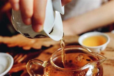 【刮油】刮油的茶有哪些_12种最刮油脂的茶介绍_绿茶说