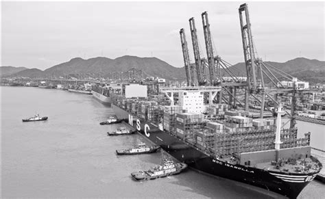 宁波舟山港再添一大型集装箱泊位，年设计能力63.6万标箱|茂名港集团