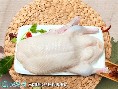 白条鸭2.1斤----2.8斤每只10只樱桃谷瘦肉白条鸭无内脏无鸭掌鸭【价格 图片 正品 报价】-邮乐网