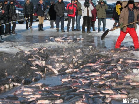 “2022黑龙江冷水鱼·冬捕季” 冬捕大典在牡丹江镜泊湖成功举办