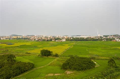 太平镇（广西壮族自治区梧州市藤县下辖镇）_百度百科