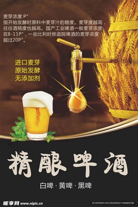 精酿啤酒产品海报|平面|海报|不服输的虚竹 - 原创作品 - 站酷 (ZCOOL)