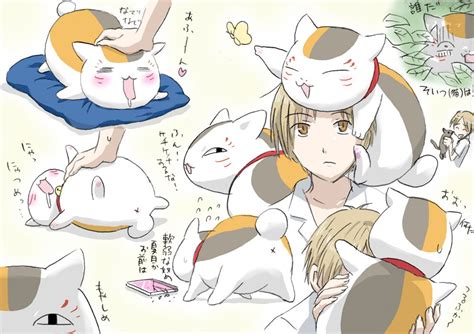 猫咪老师图片