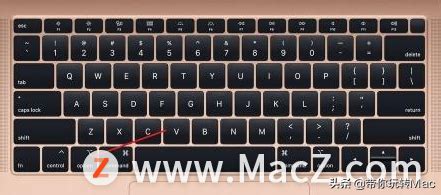 苹果电脑的alt键是哪个（教你找到Mac电脑alt键） | 说明书网