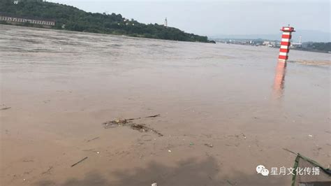 今天（17日）长江洪峰过境合江 刷新今年入汛来最高水位 合江一餐厅被洪水淹没！