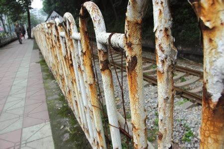 铁路边护栏锈坏更换方案正在制定_凤凰网