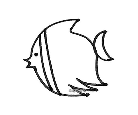 热带鱼简笔画图片 热带鱼怎么画- 老师板报网