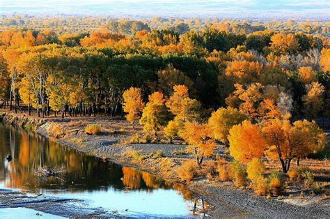 新疆最大的外流河——额尔齐斯河！