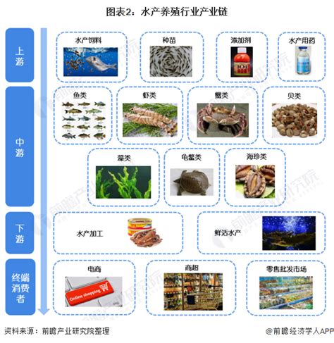 水产养殖海报图片_水产养殖海报设计素材_红动中国