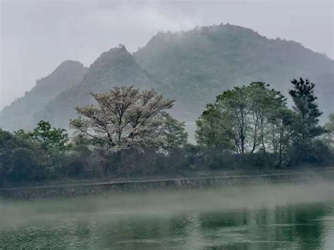 2023漓江最美的时候要数蒙蒙细雨之时，烟雨下的漓江笼罩在一层薄雾中，就像不下心踏入了仙境一样_漓江风景名胜区-评论-去哪儿攻略