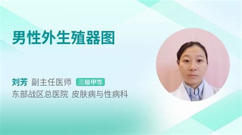 男人的生殖器图片