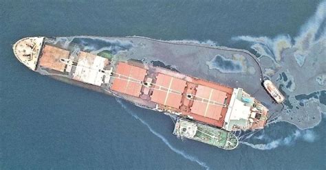 交通部通报长江口外撞船致9死事故一船为“套牌船” - 在航船动态 - 国际船舶网