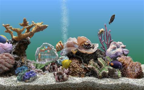 3D海底世界动态屏保下载|3D海底世界动态屏保 官方免费版v3.22 下载_当游网