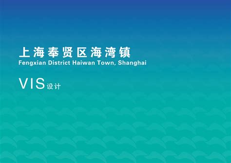 奉贤区网络软件设计排名公司(上海网络设计公司)_V优客