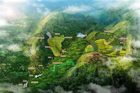 绿色矿山建设-美丽华夏生态环境科技有限公司