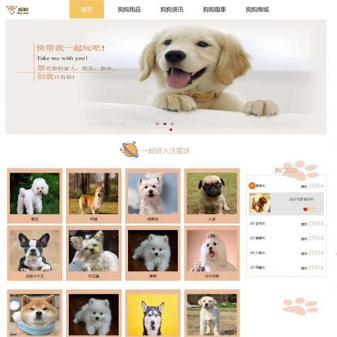 DOG小狗币社区app安卓版下载-DOG小狗币app手机最新版 - 超级下载资源网