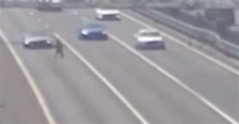惨剧！老人加速横穿京哈高速被撞 老人当场身亡 - 法律法规网