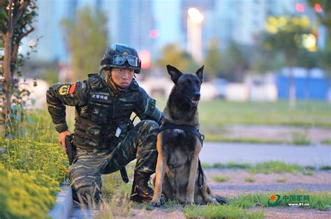 工作犬克隆|北京市公安局首批警用克隆犬入警仪式在京举行